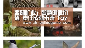 爱游戏app